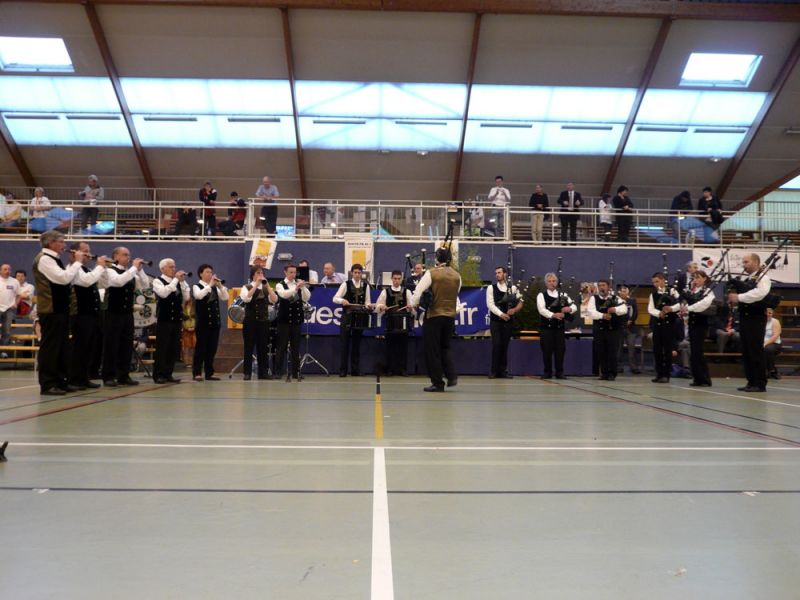 P1030321.jpg